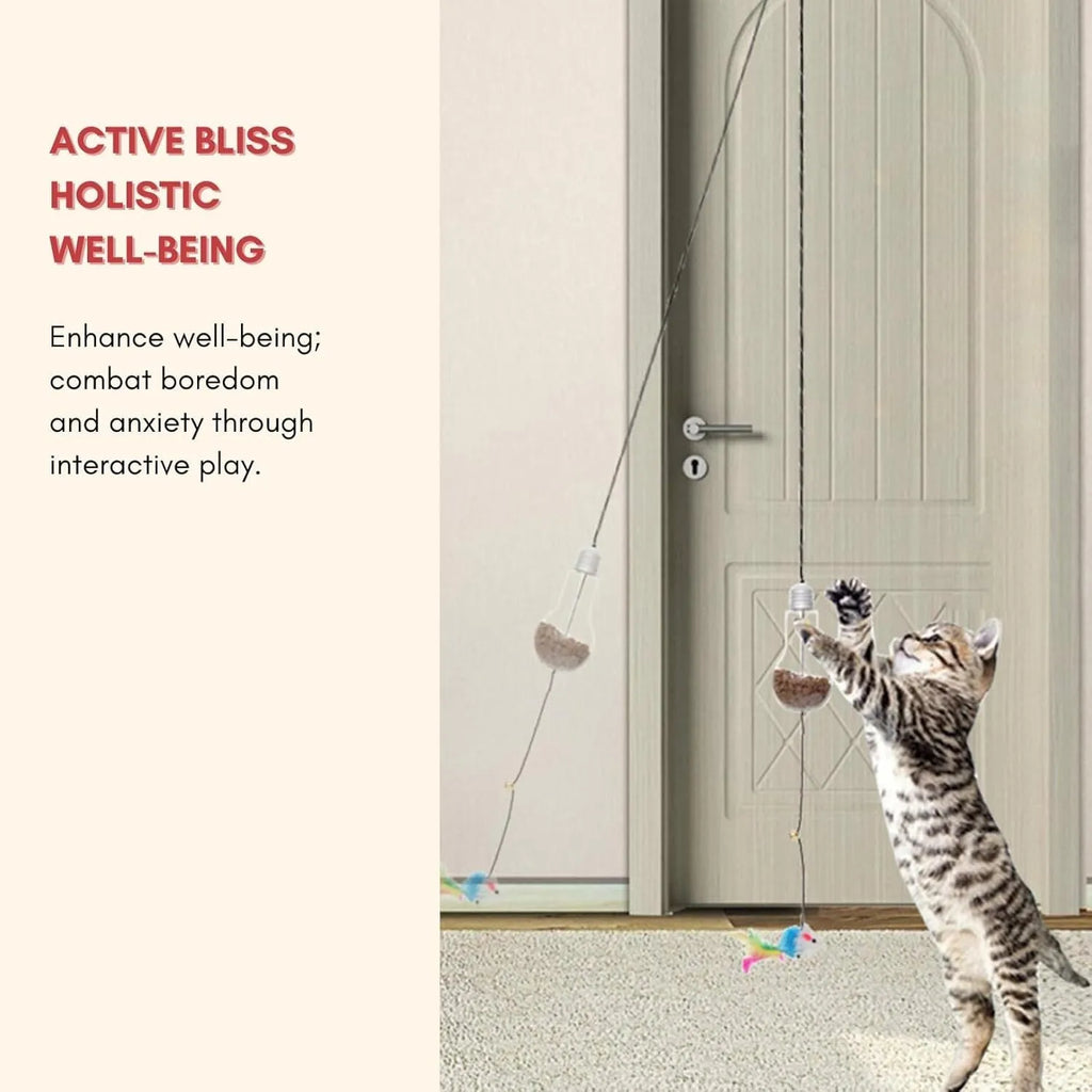 Interactive cat toy hanging from door frame with elastic rope and dangling mouse toy
