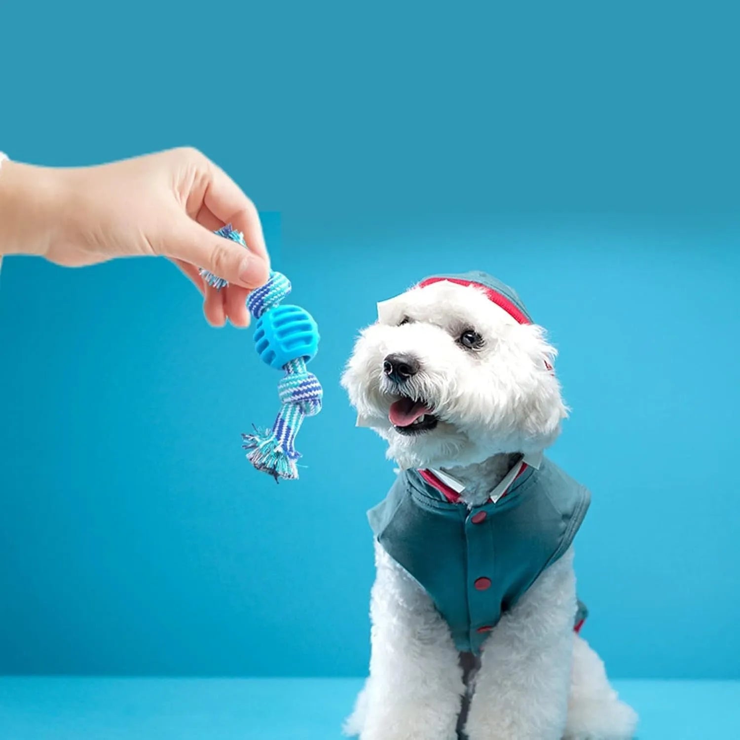 Blue dog chew toy with molar-shaped rubber section and dental cleaning rope strands