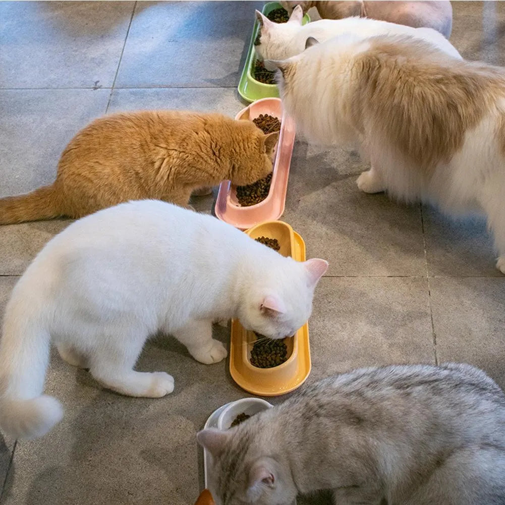 Green 4-piece pet feeder set with two bowls on a non-slip silicone mat