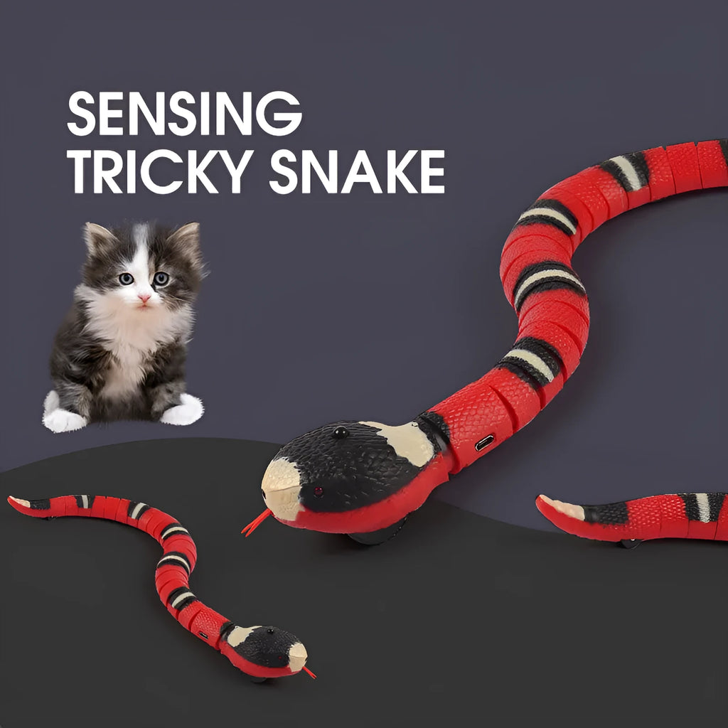 USB rechargeable automatic electronic snake cat toy with segmented plastic body on a floor.