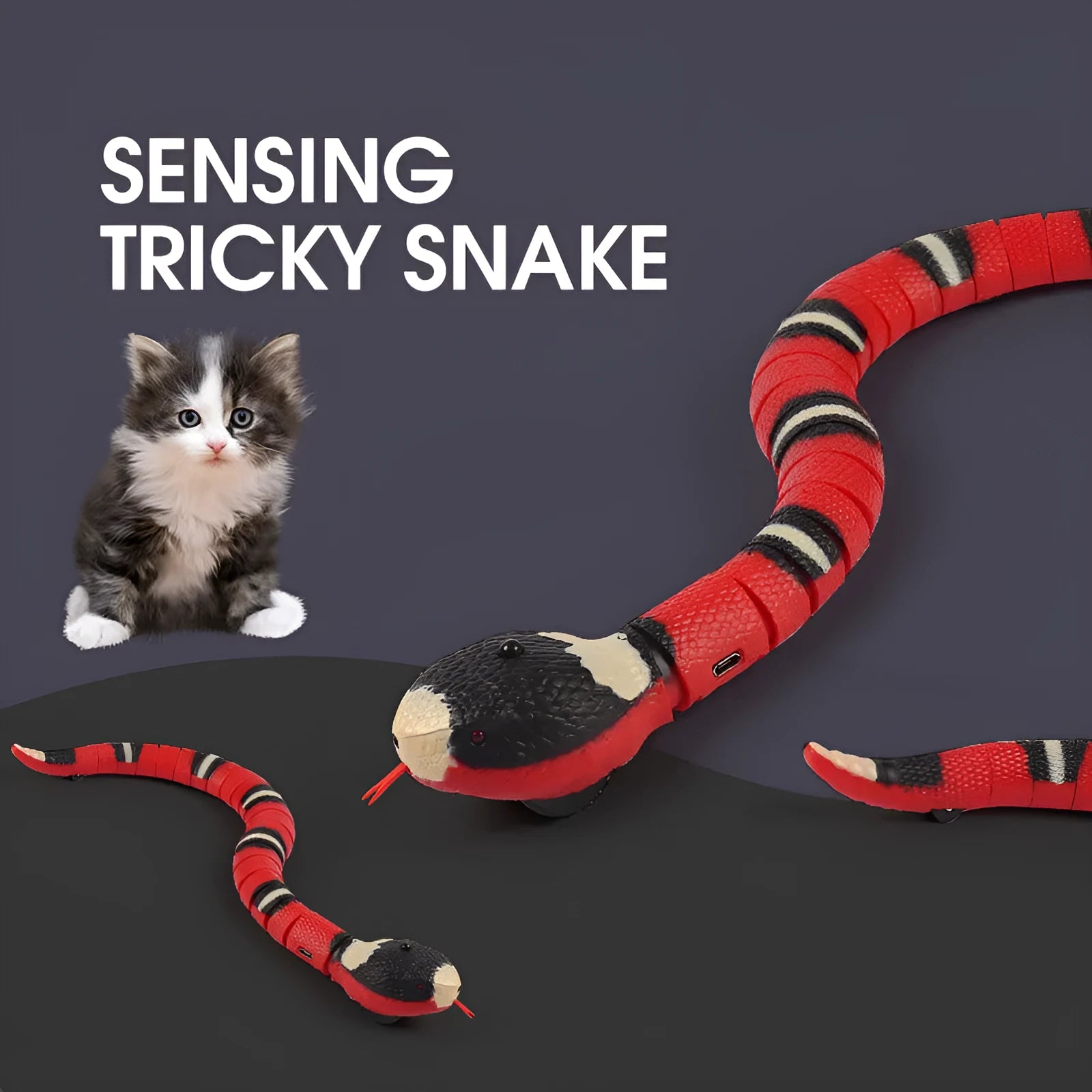 USB rechargeable automatic electronic snake cat toy with segmented plastic body on a floor.