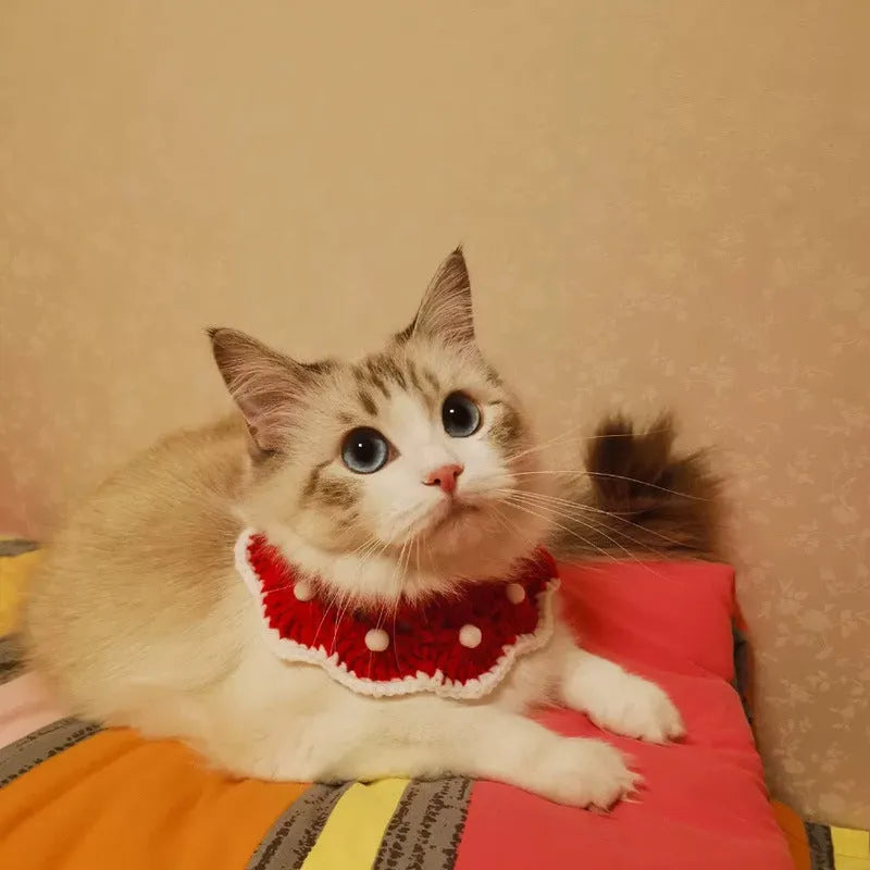 Wool knitted pet collar with cartoon pattern in milk cotton showing four size options for dogs cats rabbits