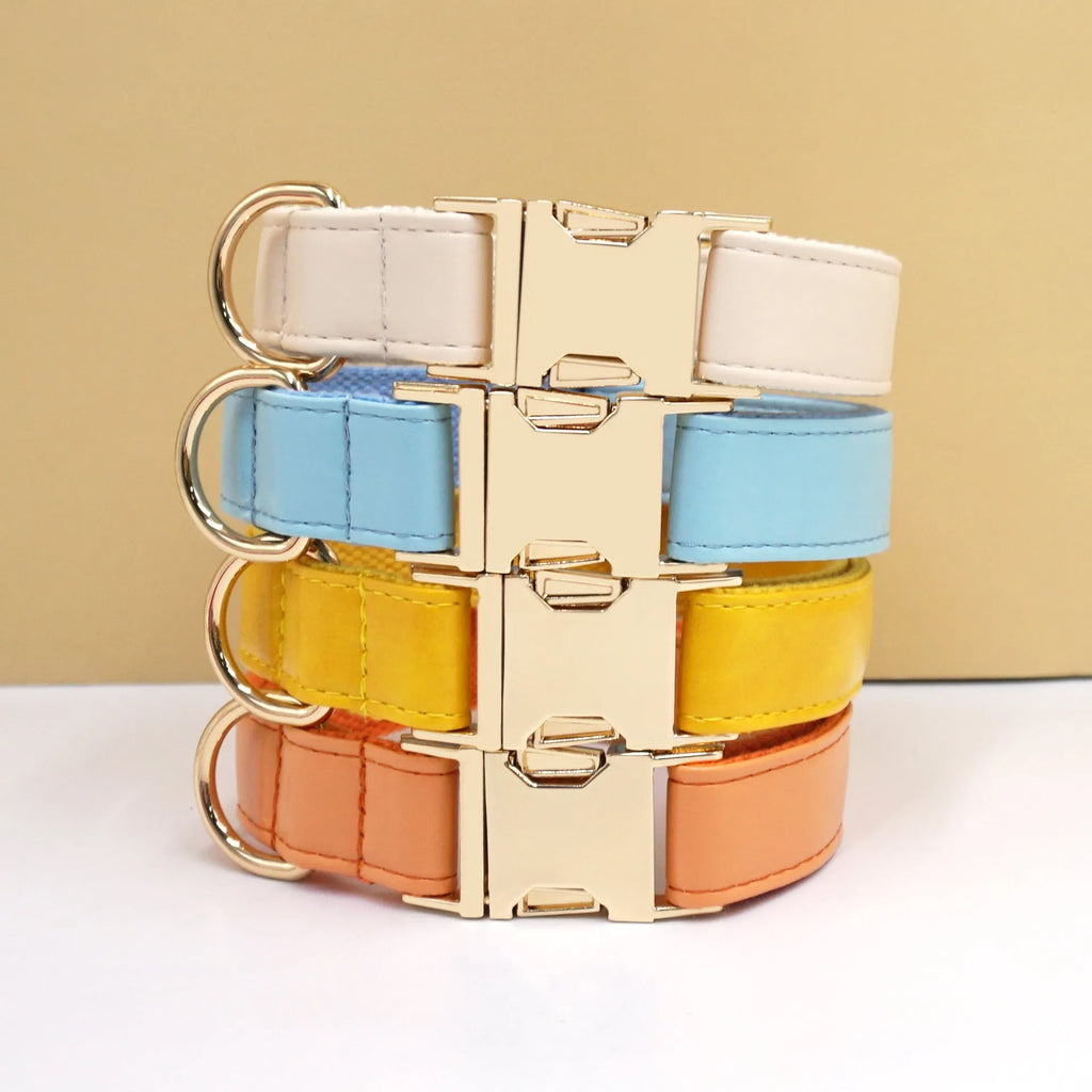 Simple colour block leather dog collar shown on a D-ring, available in multiple colours and sizes from XS to XL.