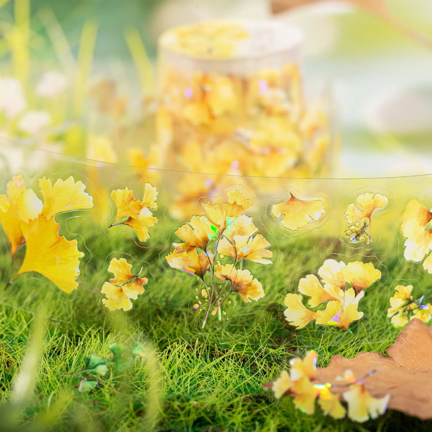 Six rolls of nature-themed decorative stickers showing gentle ginkgo, maple leaf, and blue fallen leaves colour variations