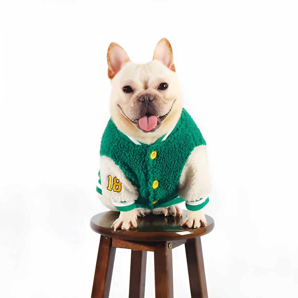 Green fleece-lined winter dog clothing coat in cotton fabric available in multiple sizes