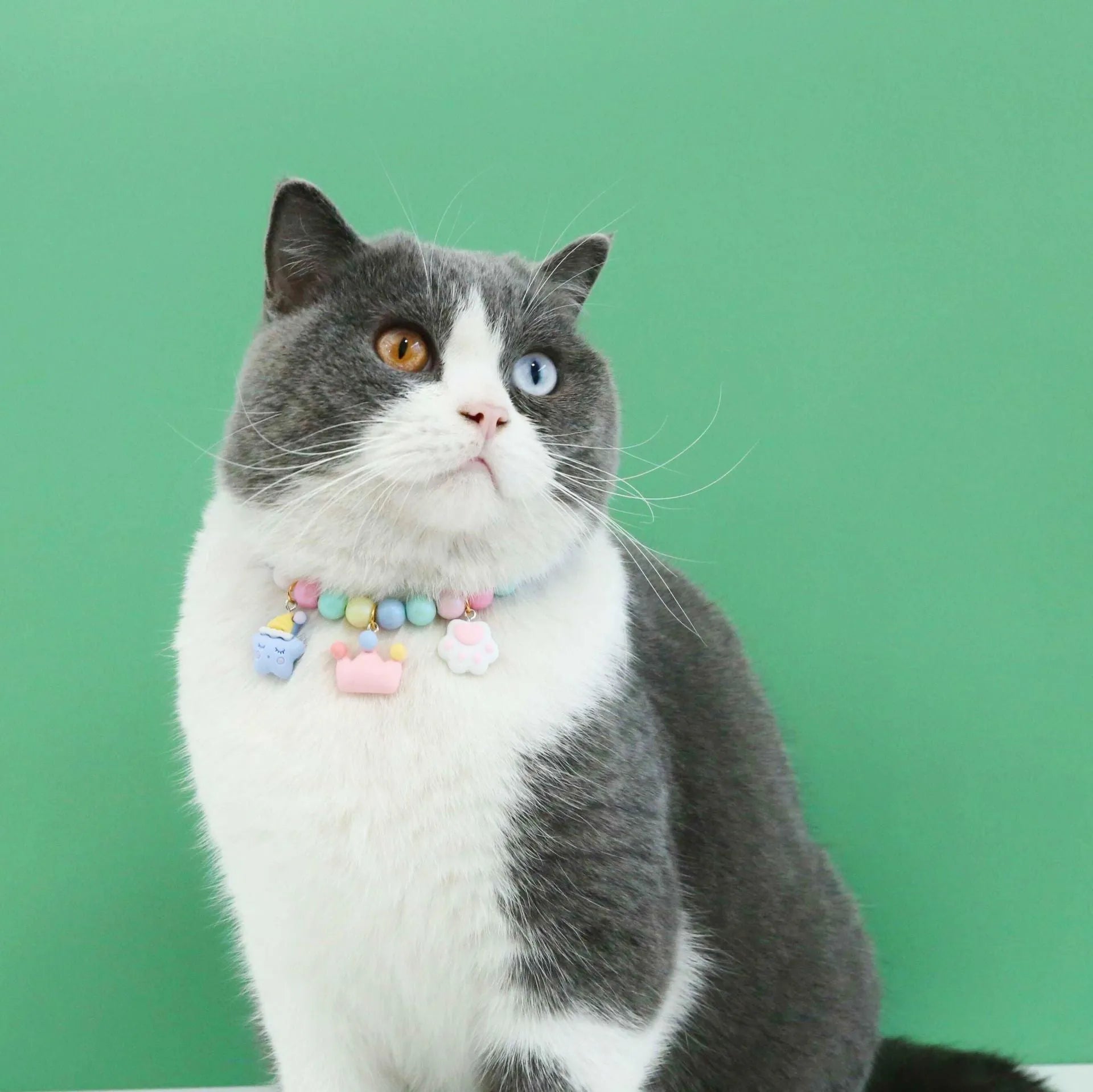 Adjustable pet headdress collar set in macaron colours with three sizing options