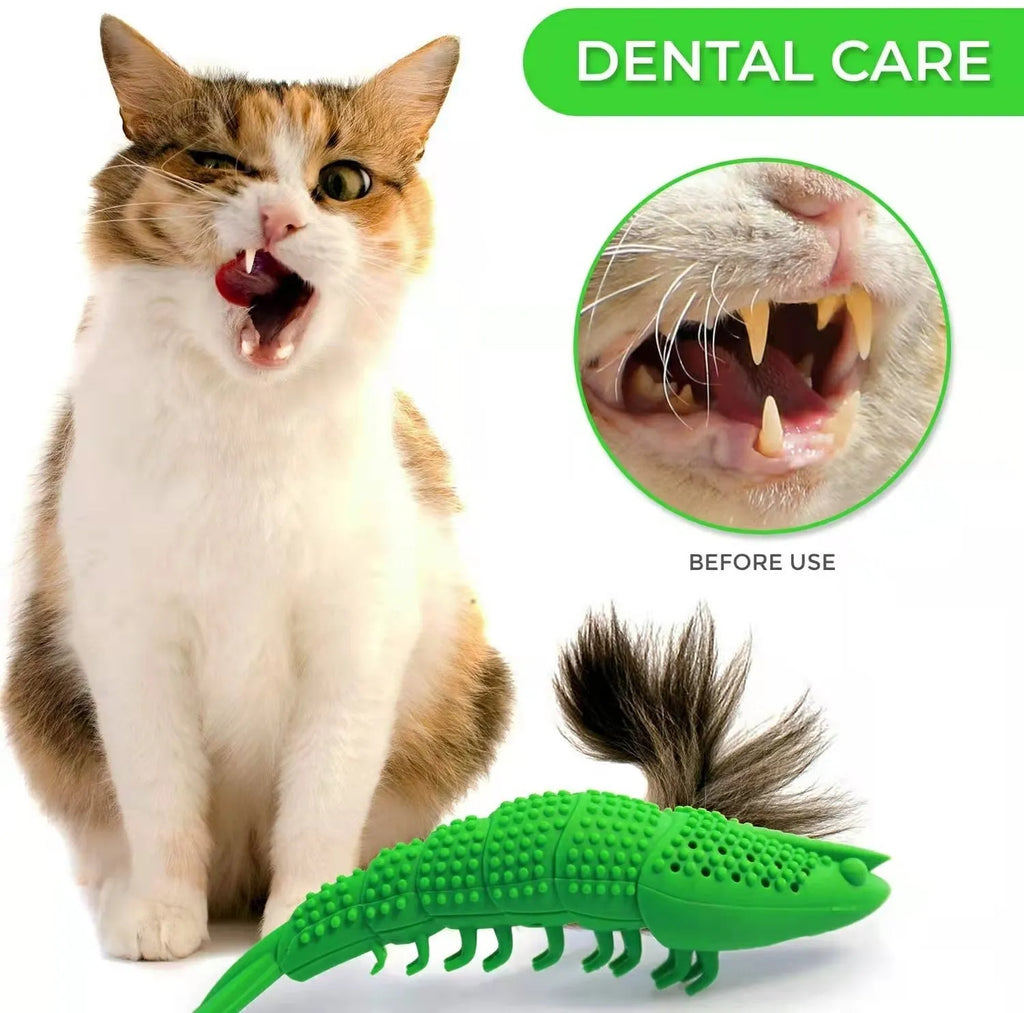 Blue cat toothbrush chew toy with hard rubber construction for dental care play