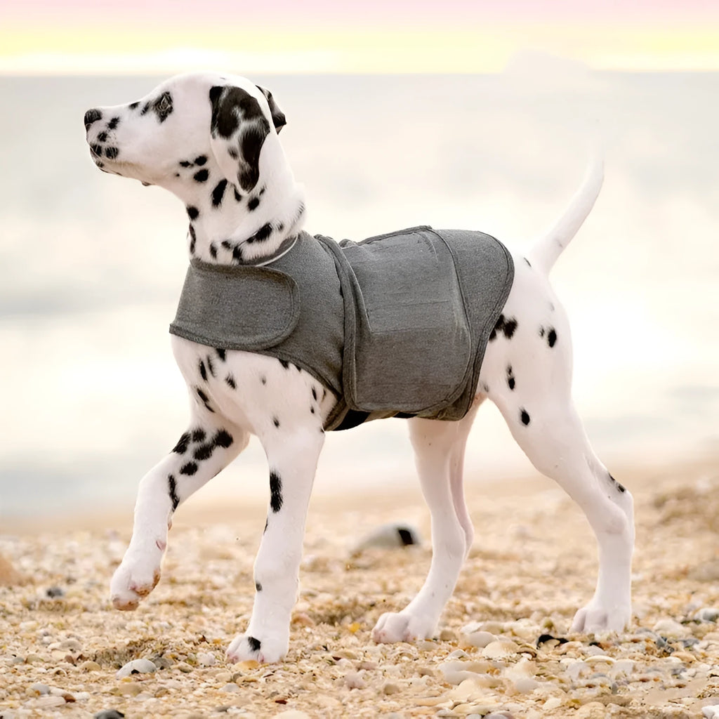 Heather grey dog anxiety jacket, a warm vest made from brocade cotton ponte-de-roma fabric.