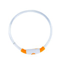 Blue USB rechargeable LED dog collar with glowing light on adjustable TPU strap