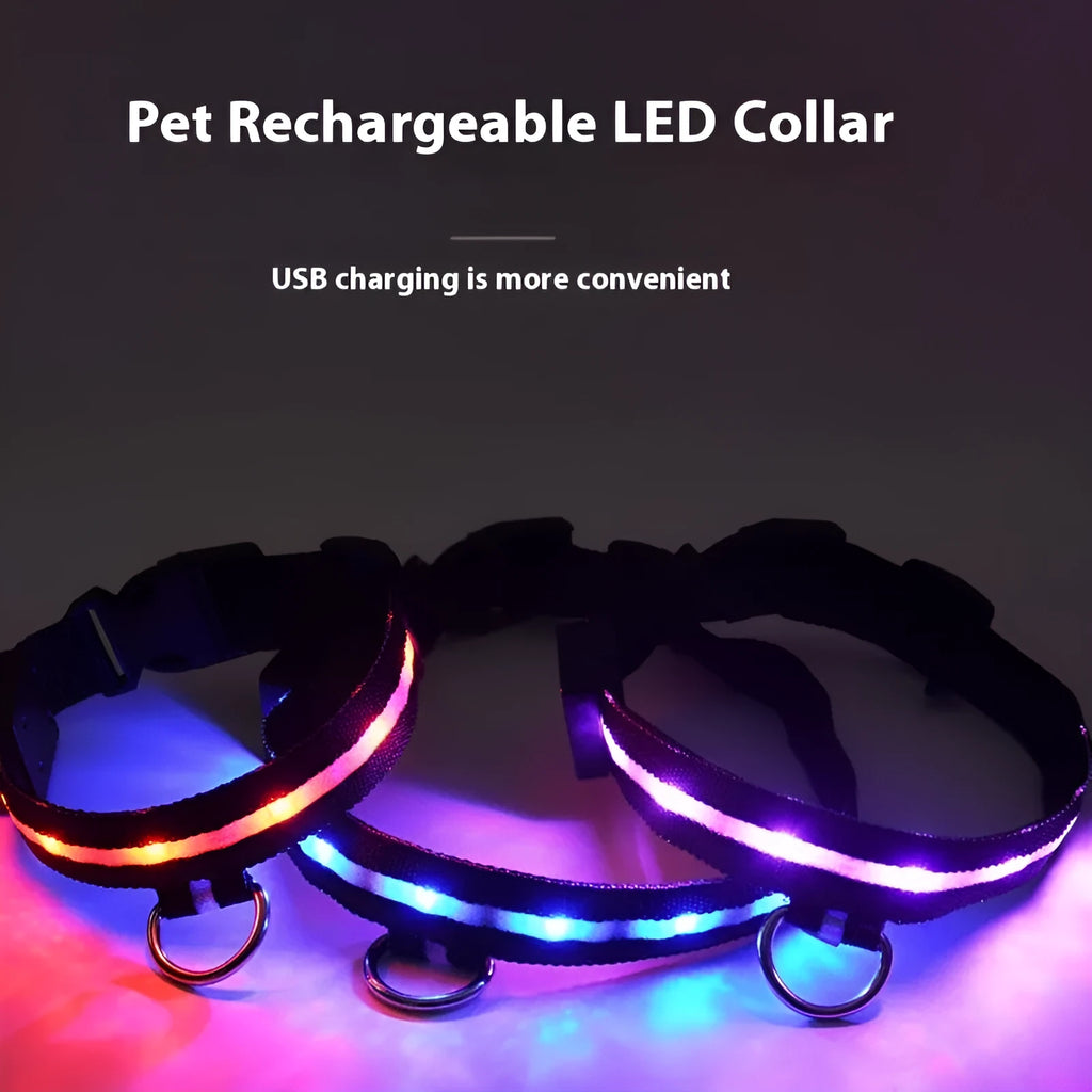 Black LED luminous dog collar with matching 120cm hand rope, polyester, available in S, M and L