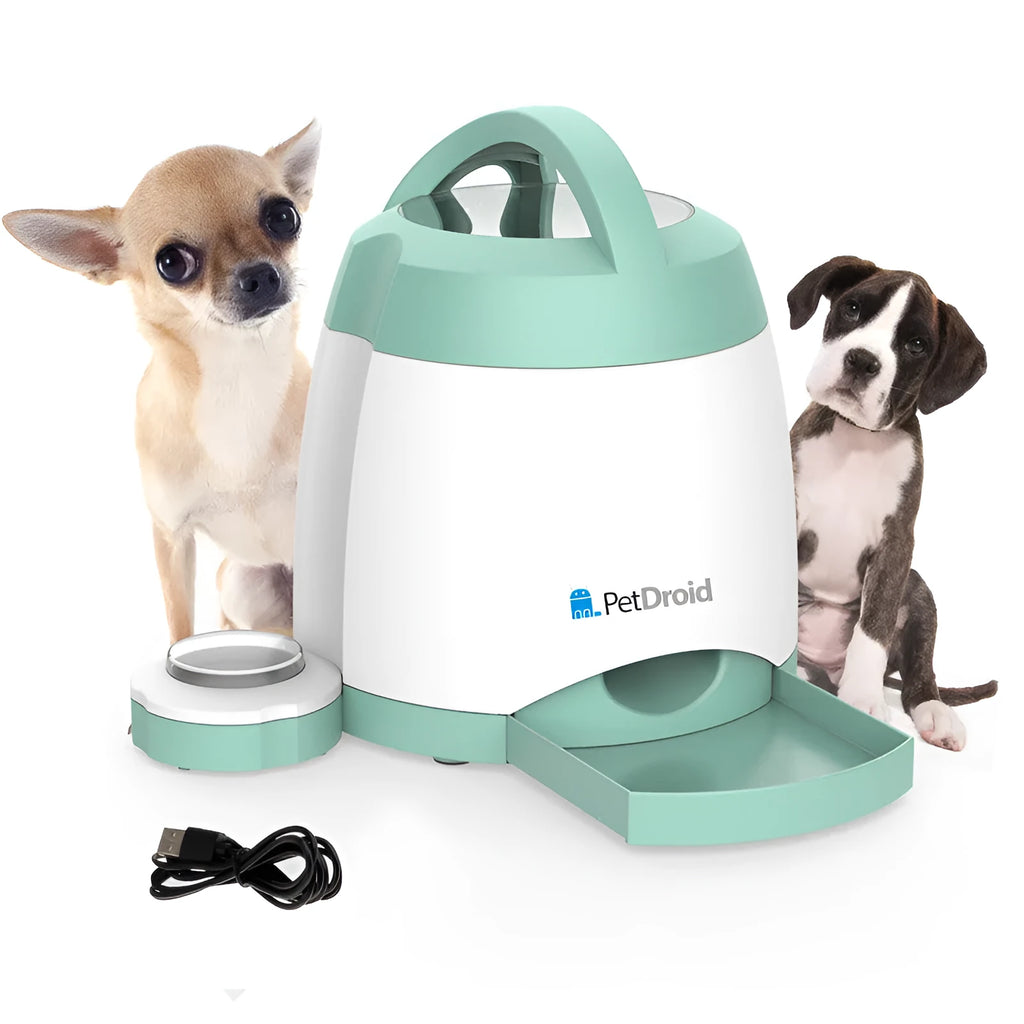 Light green automatic dog feeder with push button, USB powered, 20x20x24cm, non-toxic material