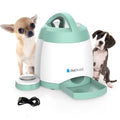 Light green automatic dog feeder with push button, USB powered, 20x20x24cm, non-toxic material