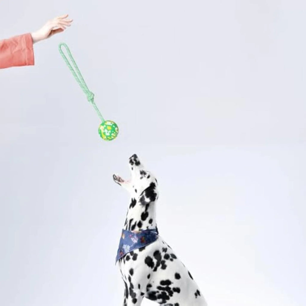 Natural rubber dog ball on a nylon rope for fetch and tug games with a medium dog