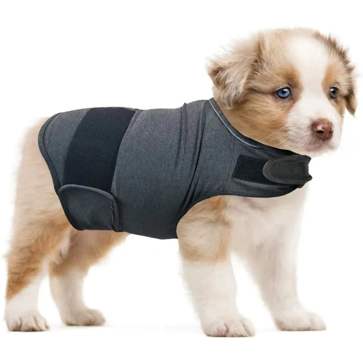 Dog wearing separation anxiety tank top in brocade cotton Ponte-de-Roma fabric