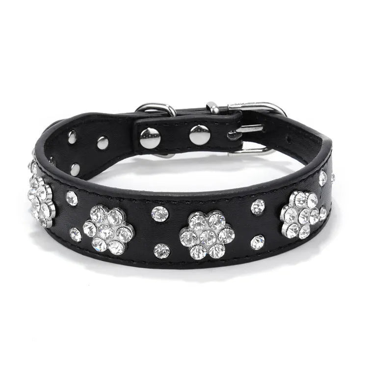 Black dog collar with studded rhinestone flower pattern and a metal D-ring on a white background