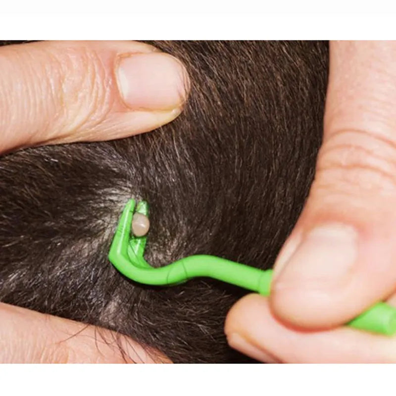 Three plastic pet tick removal hooks in blue or green colours for dog and cat grooming