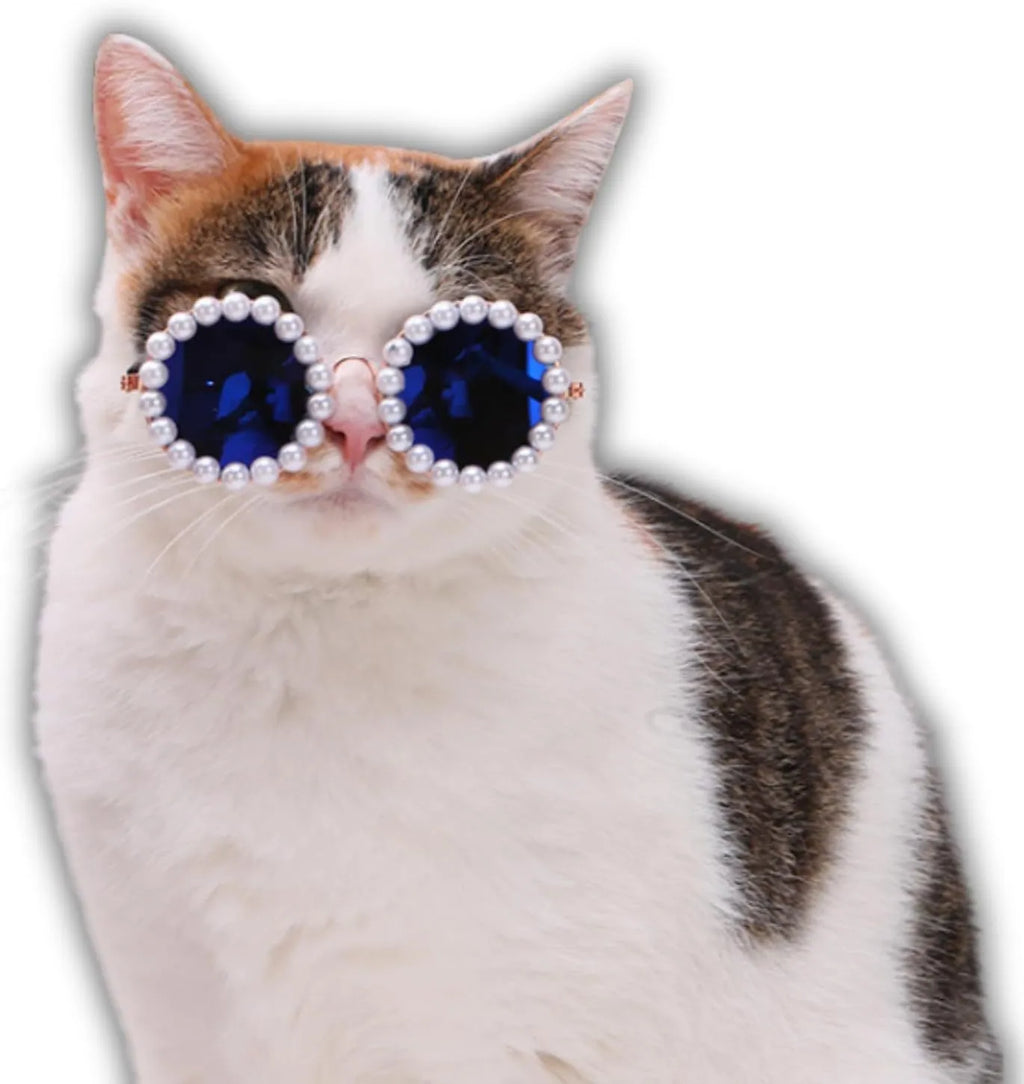Pearl-rimmed round sunglasses on a cat and dog for costume dress up