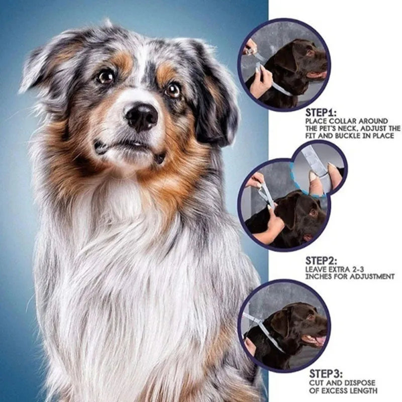 Rainbow design flea prevention collar for cats and dogs with plastic construction