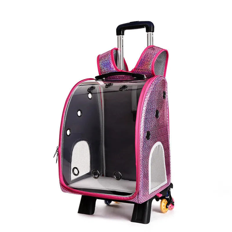 Transparent pet trolley bag with folding shoulder strap in blue colour