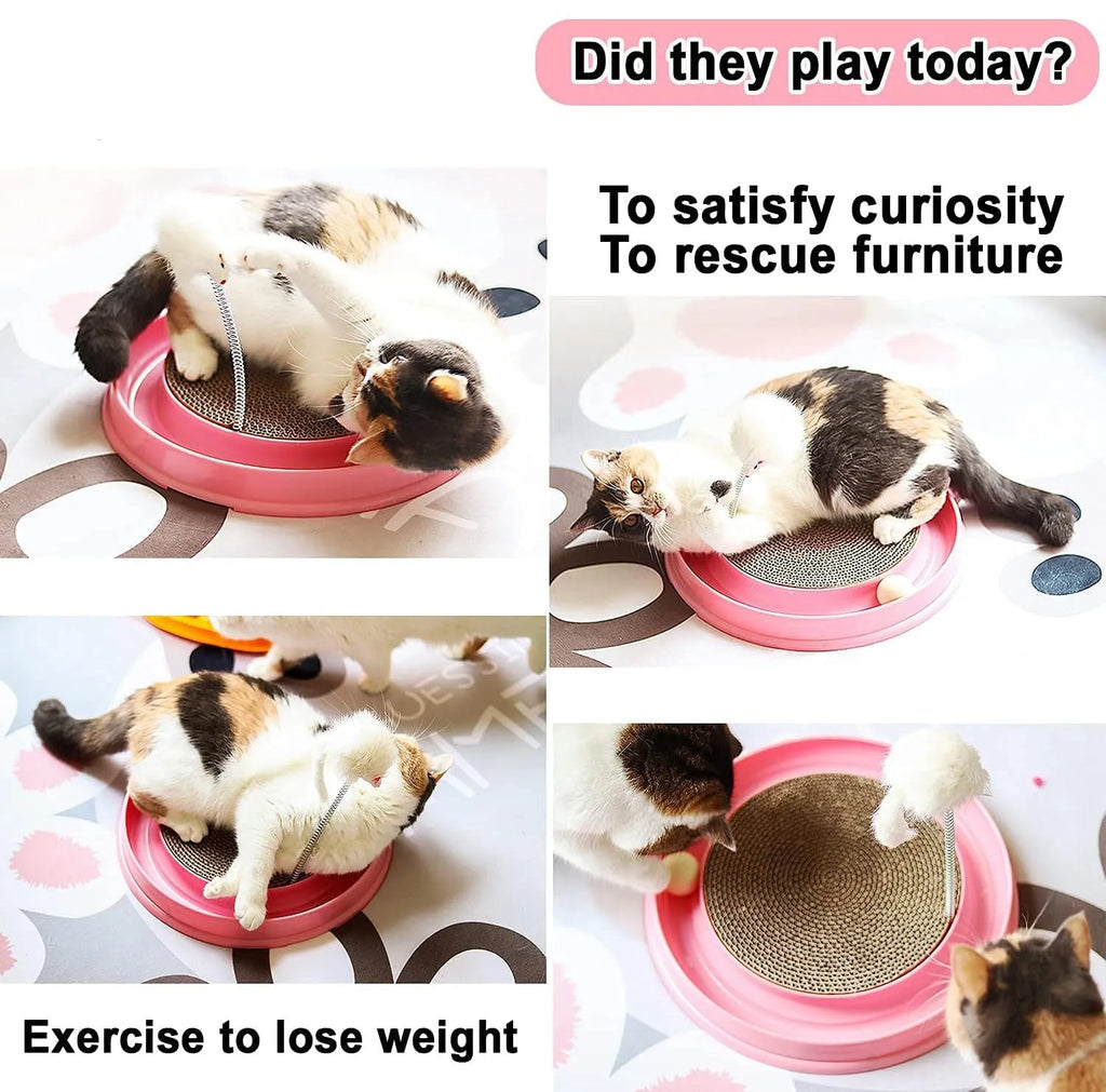 Circular cat scratching toy with ball track and textured centre pad in blue colour