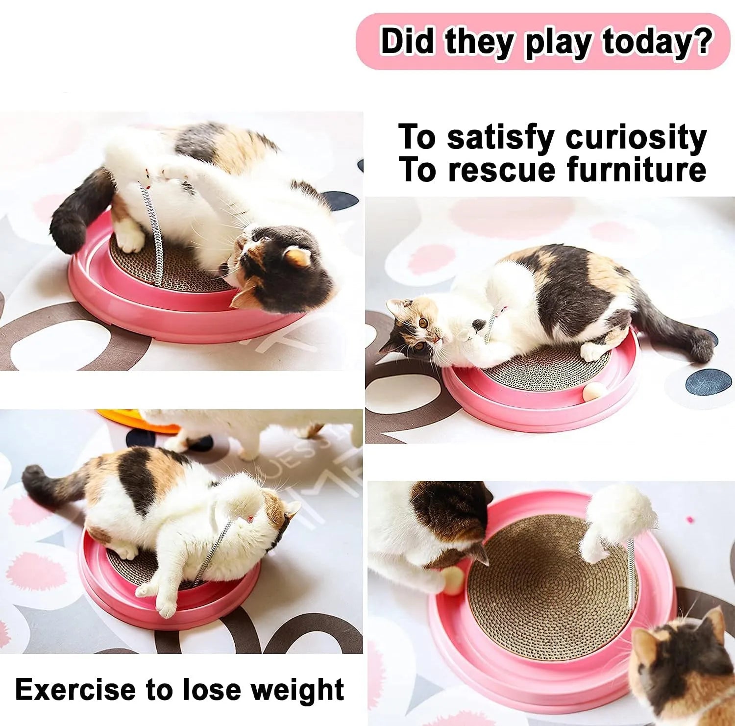 Circular cat scratching toy with ball track and textured centre pad in blue colour