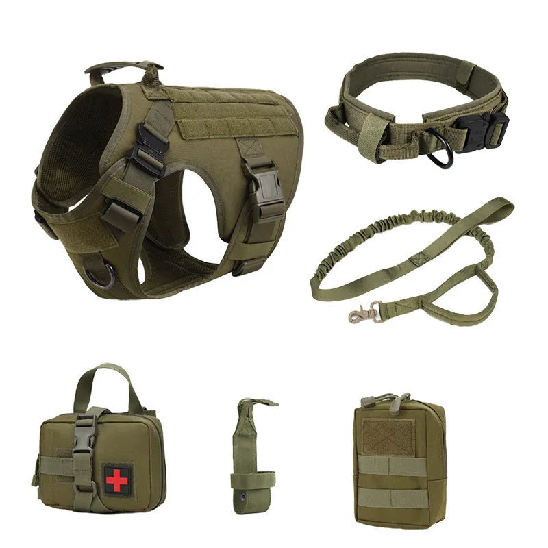 Dog wearing combat vest training gear with chain ring and rope components