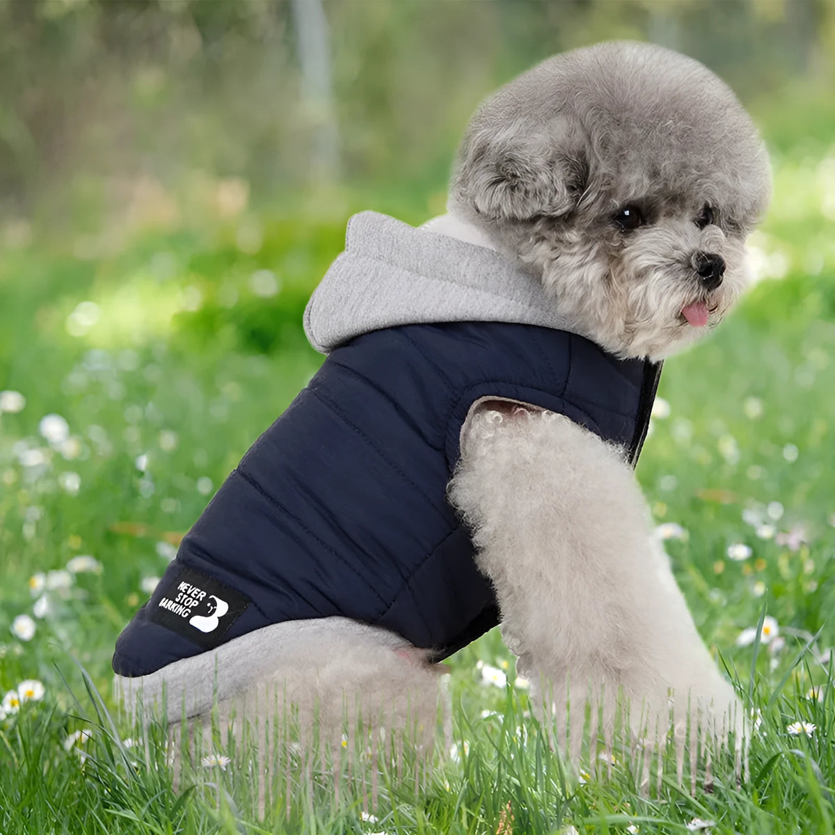Fleece windproof cotton-padded pet jacket in blue, green or wine red, sizes M to 3XL