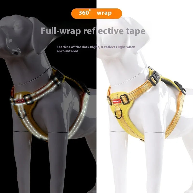 Adjustable polyester dog chest harness and lead in various colours on a white background