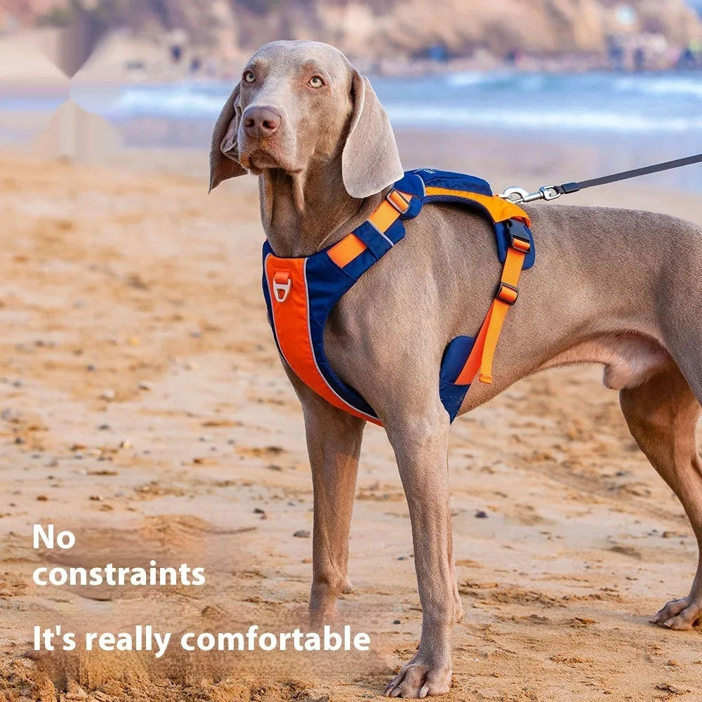 Orange blue nylon dog chest strap vest harness shown from the side on a dog.