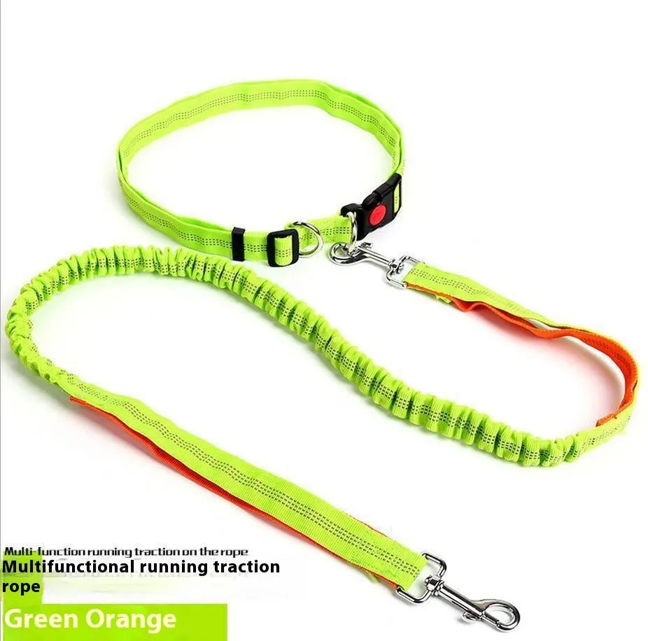 2.5cm wide outdoor running dog leash with night reflective sling in grey and green colour combination