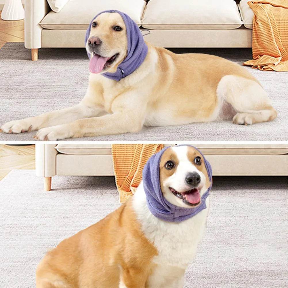 Dog wearing black calming hoodie covering ears with hair protection and scarf function
