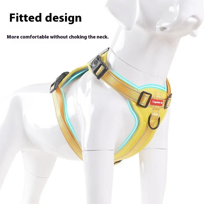 Adjustable polyester dog chest harness and lead in various colours on a white background