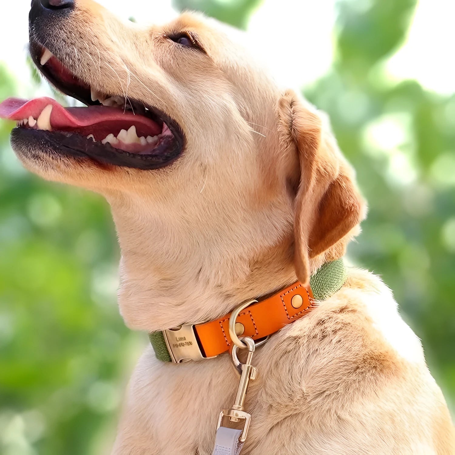 Small dog mohair collar and matching leash set shown in one of six colours: green, light blue, grey, brown, black, or dark blue.