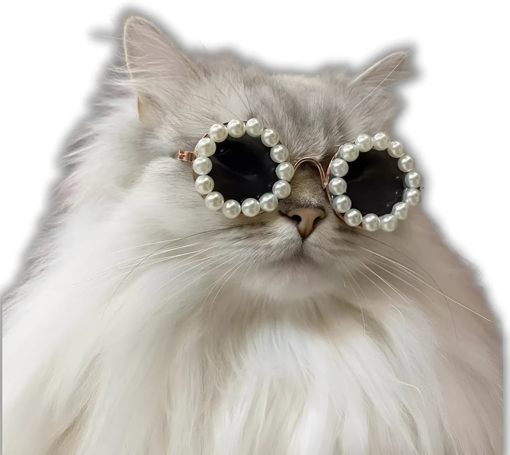 Pearl-rimmed round sunglasses on a cat and dog for costume dress up