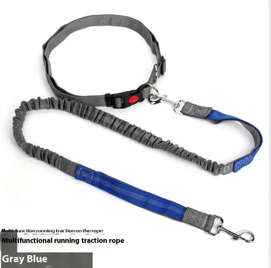 2.5cm wide outdoor running dog leash with night reflective sling in grey and green colour combination