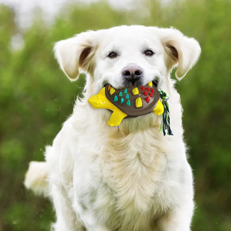 Natural rubber dog toothbrush chew toy with mint flavour for dental care and interactive play