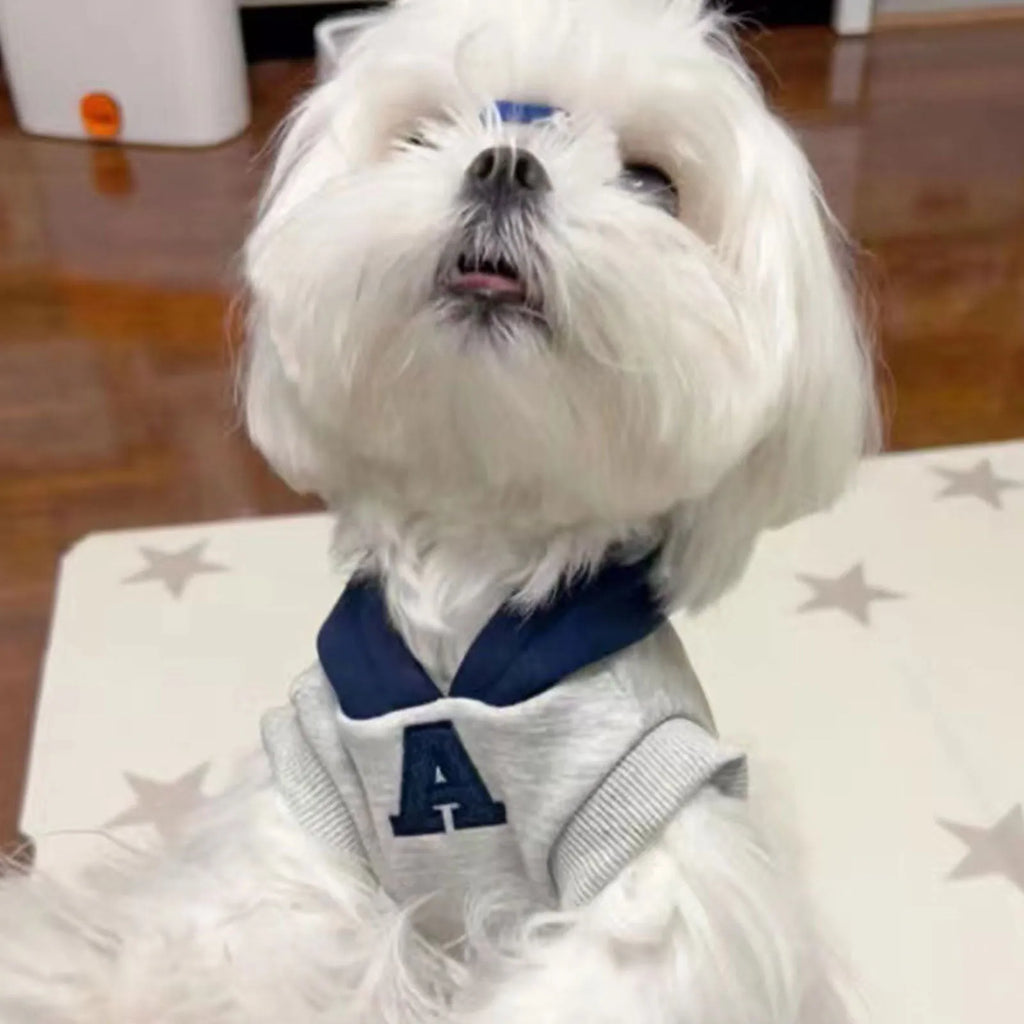 Blue pet hoodie with reflective letters on a dog, showing slim-fitting design and hood