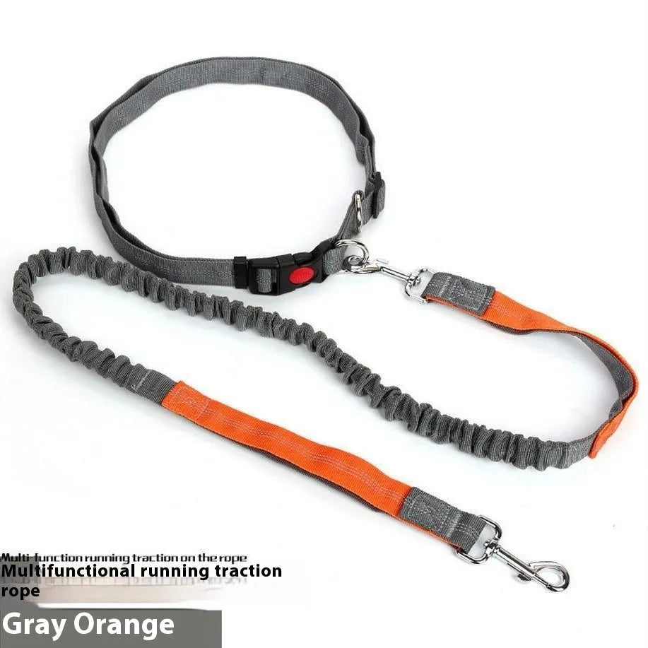 2.5cm wide outdoor running dog leash with night reflective sling in grey and green colour combination
