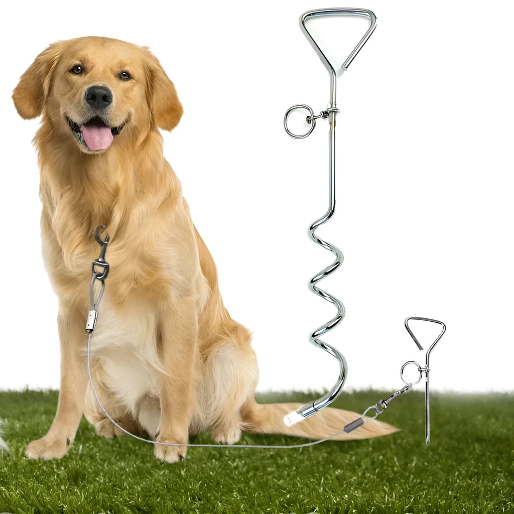 Spiral dog tie out stake anchor with rust-resistant steel construction measuring 40cm length