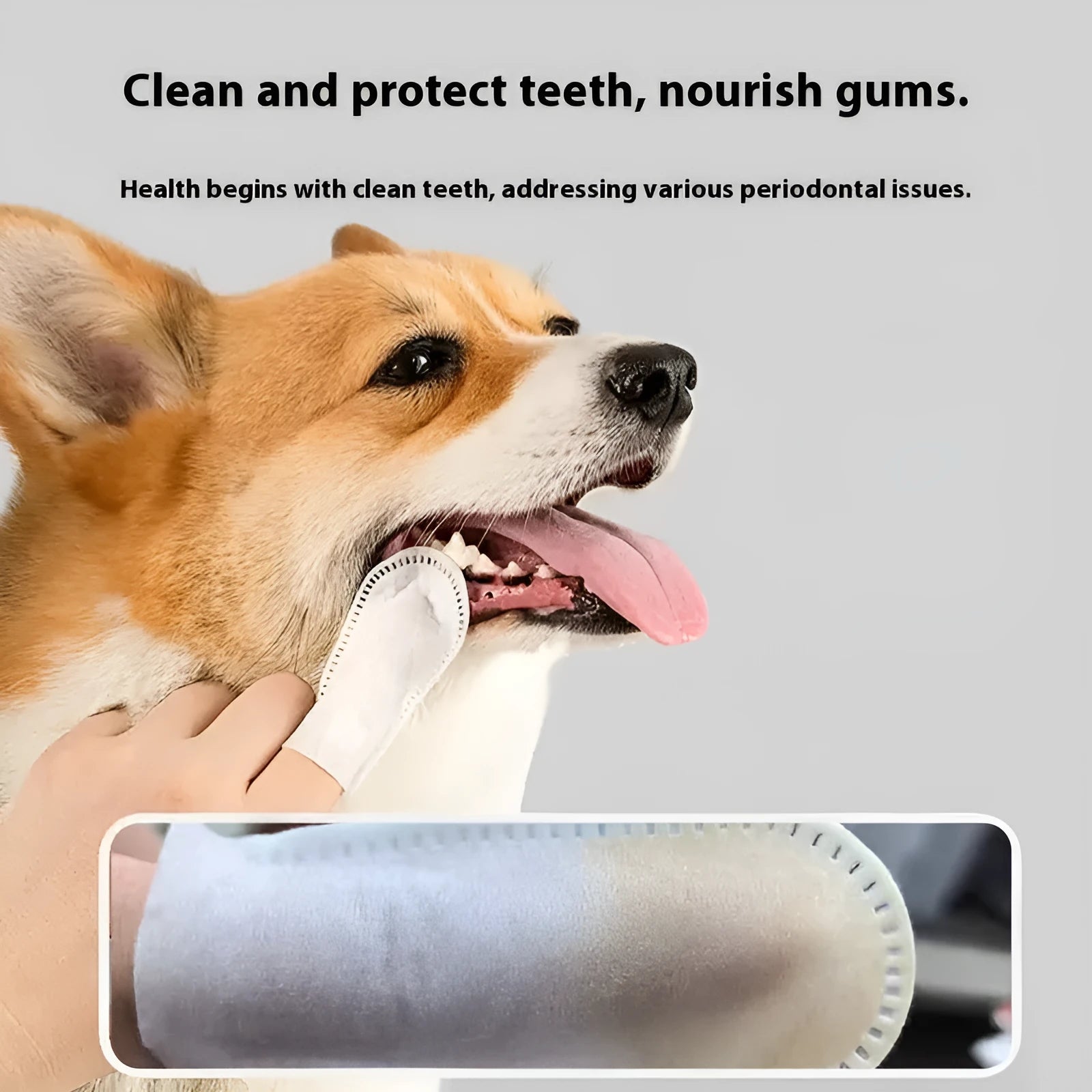 Pack of 50 non-woven fabric pet dental cleaning finger stalls for cats and dogs