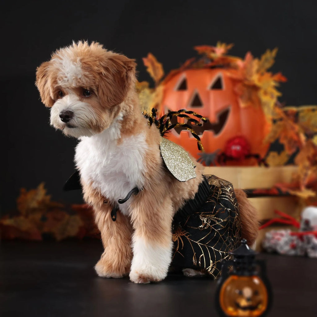 Polyester Halloween dog costume suit in multiple sizes for seasonal pet parties.