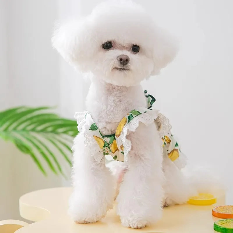 Rock yellow lemon dog dress with thin breathable straps and skirted princess style
