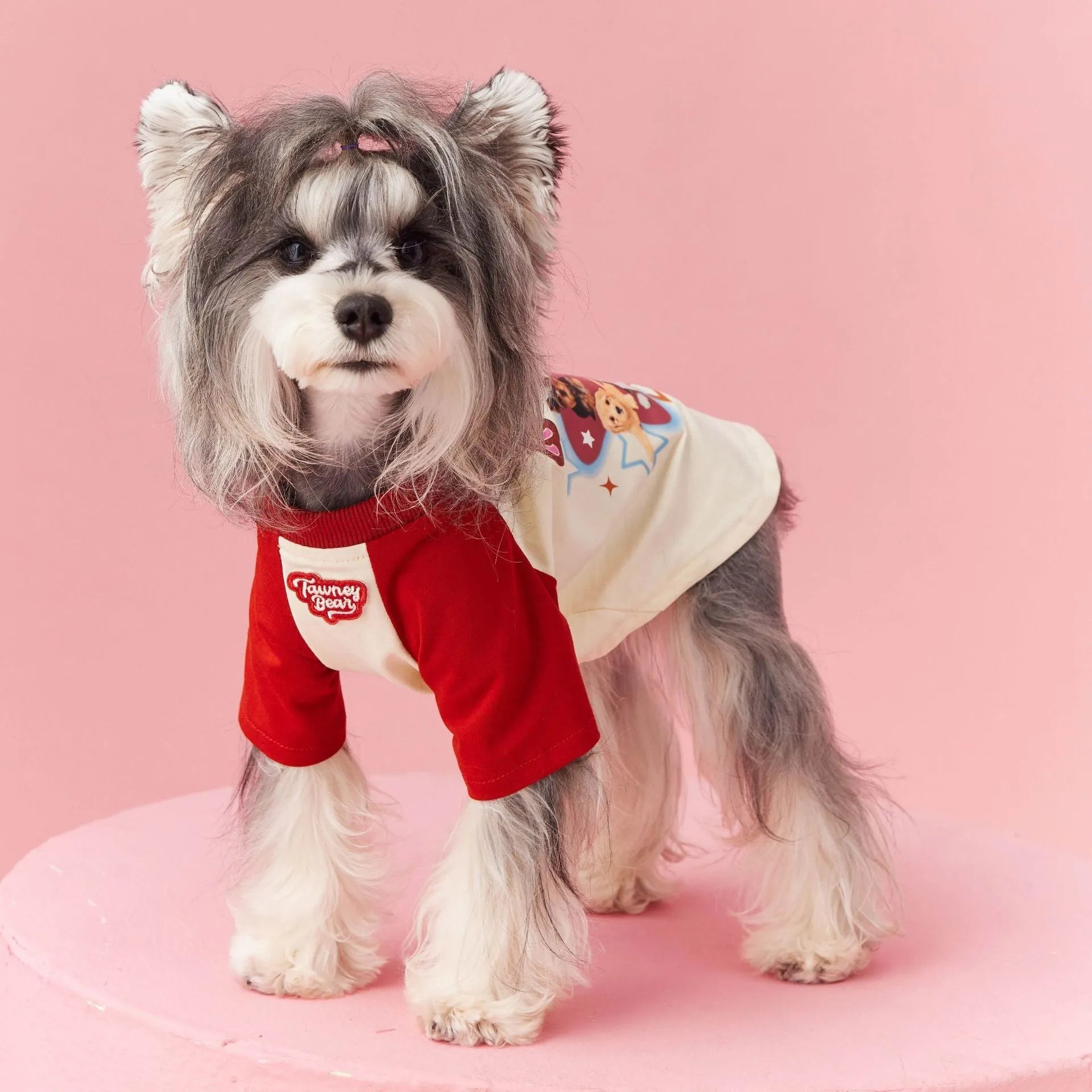 Cotton summer dog clothing with contrasting embroidery in sizes XS to XXL