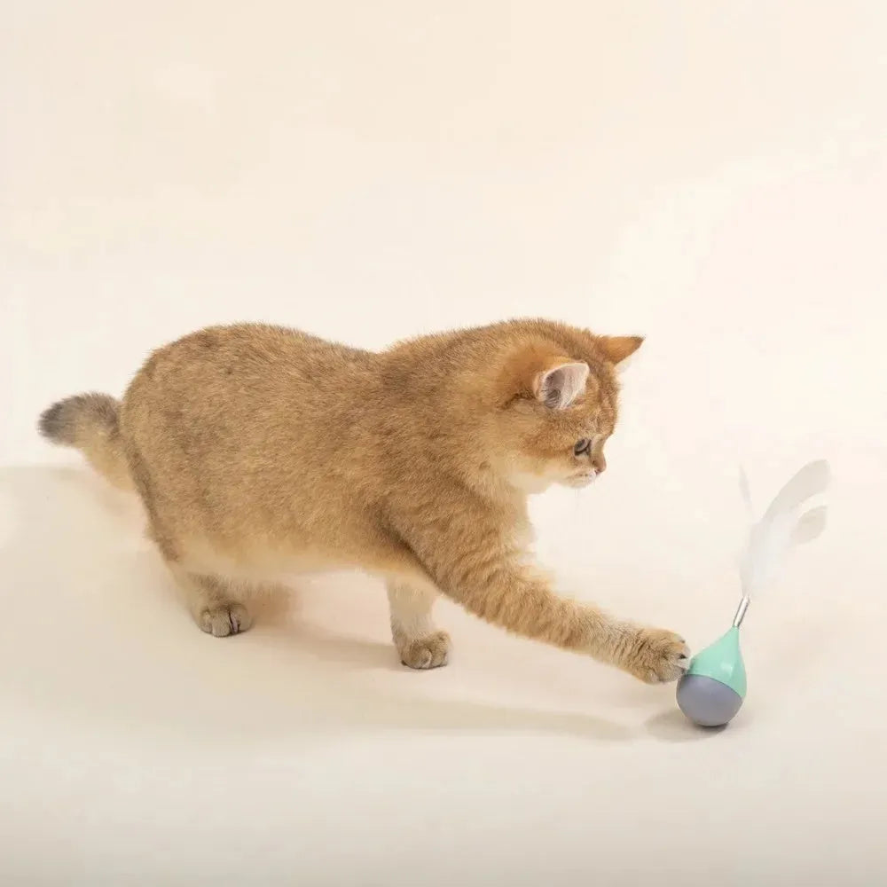 Feather tumbler cat toy showing green colour option with tease stick and goose feather attachment