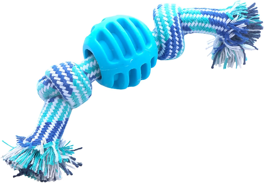Blue dog chew toy with molar-shaped rubber section and dental cleaning rope strands