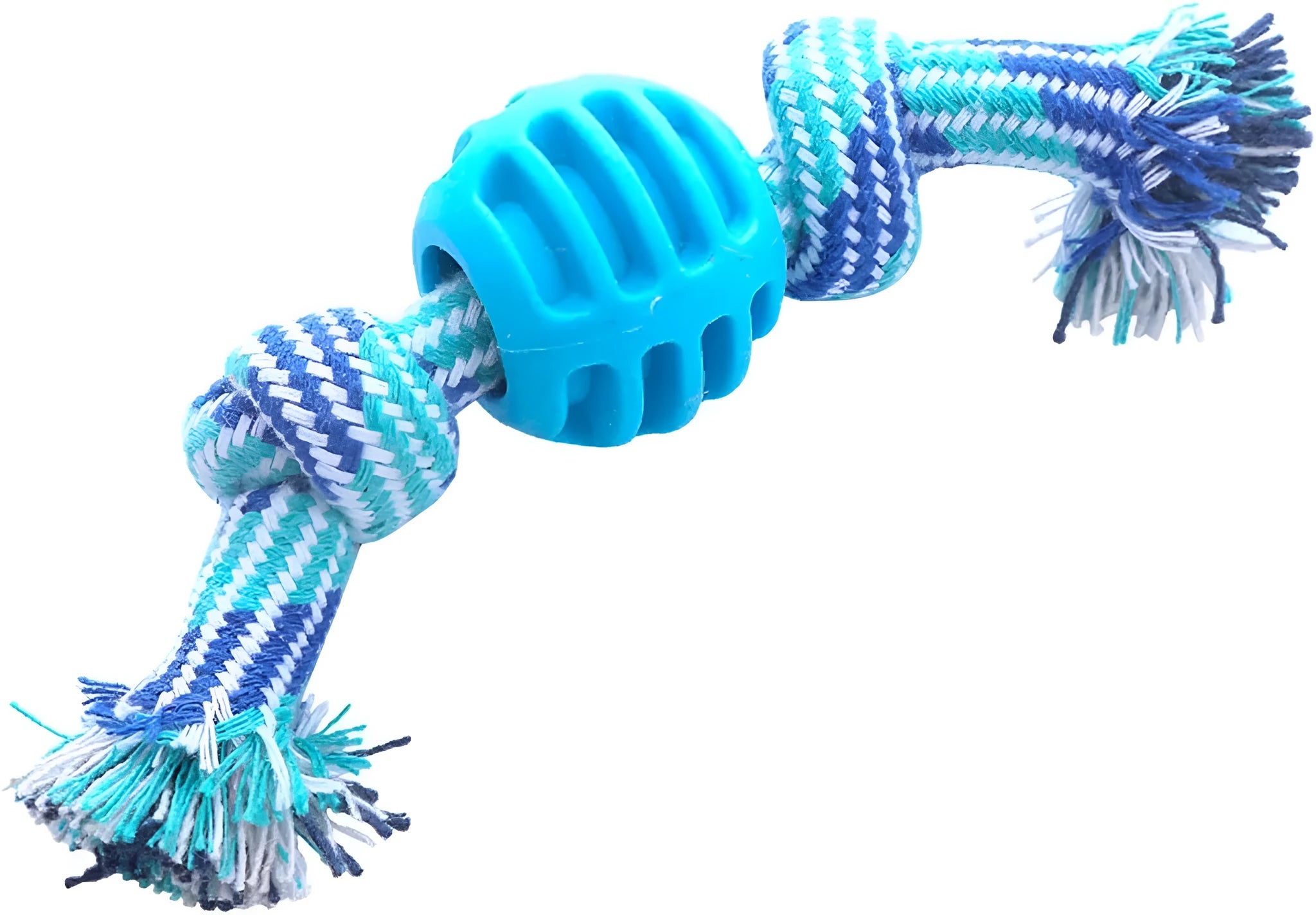 Blue dog chew toy with molar-shaped rubber section and dental cleaning rope strands