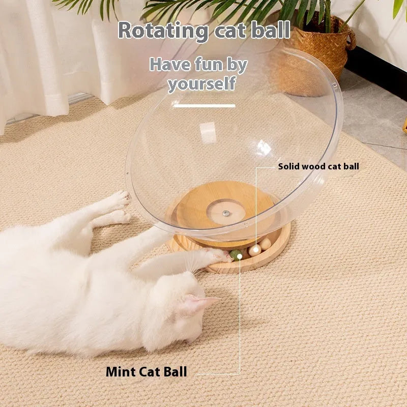 Transparent acrylic capsule cat bed with turntable base on wooden floor
