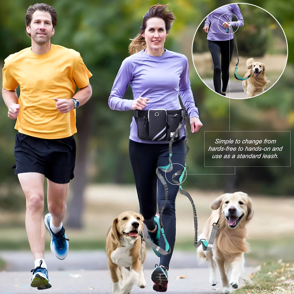 Black waterproof nylon dog walking waist bag set with adjustable leash and matching collar