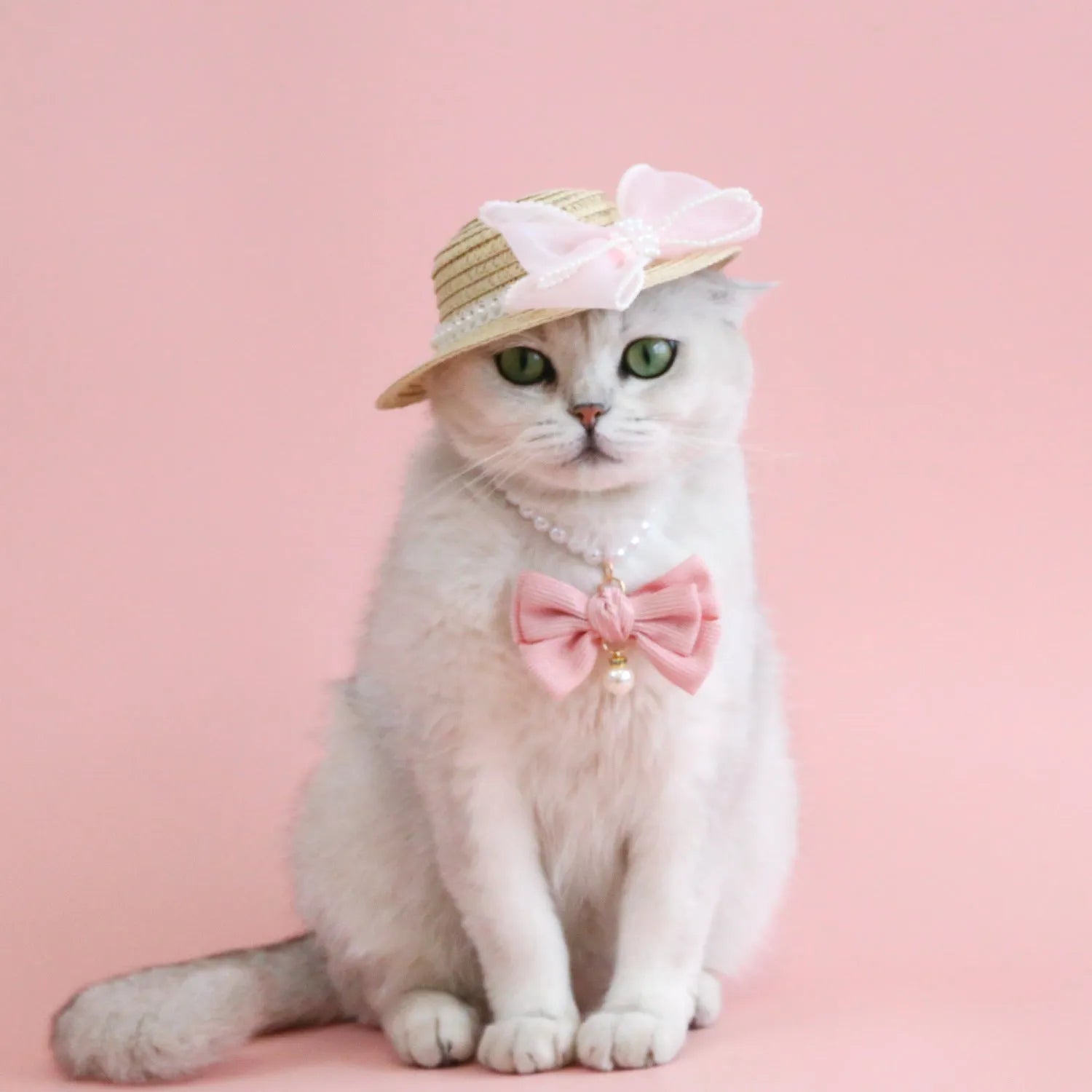 Cat wearing a woven Lafite leaves straw hat with a blue pearl butterfly bow.