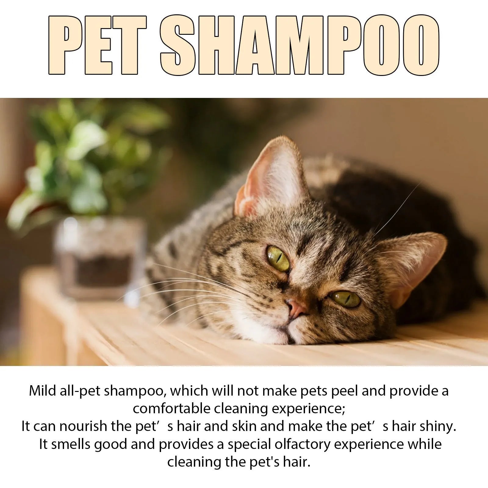 Mild pet shampoo bottle for dogs in 100ml and 300ml sizes for gentle coat cleaning and tangle prevention